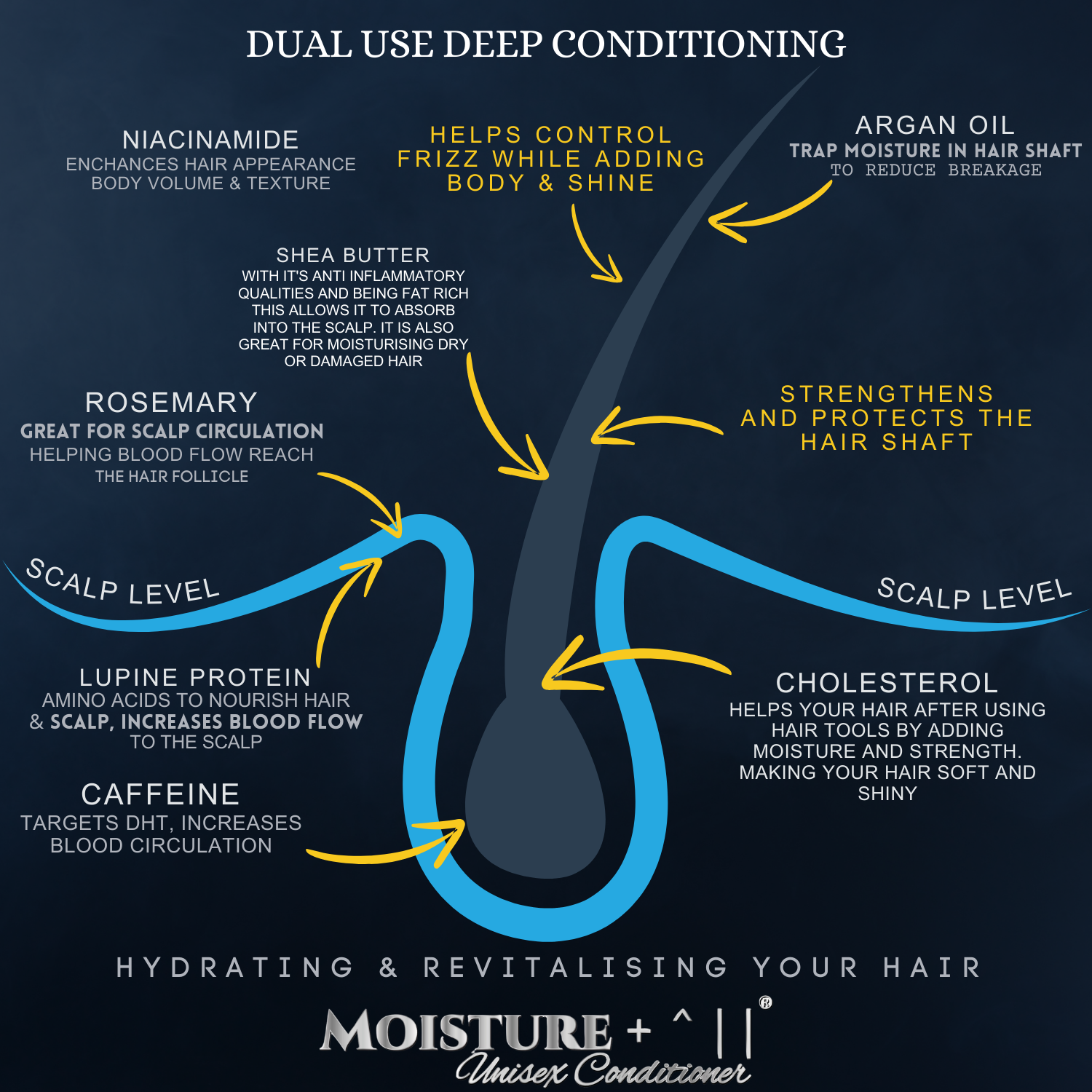 Moisture +  ^ ll  Conditioner