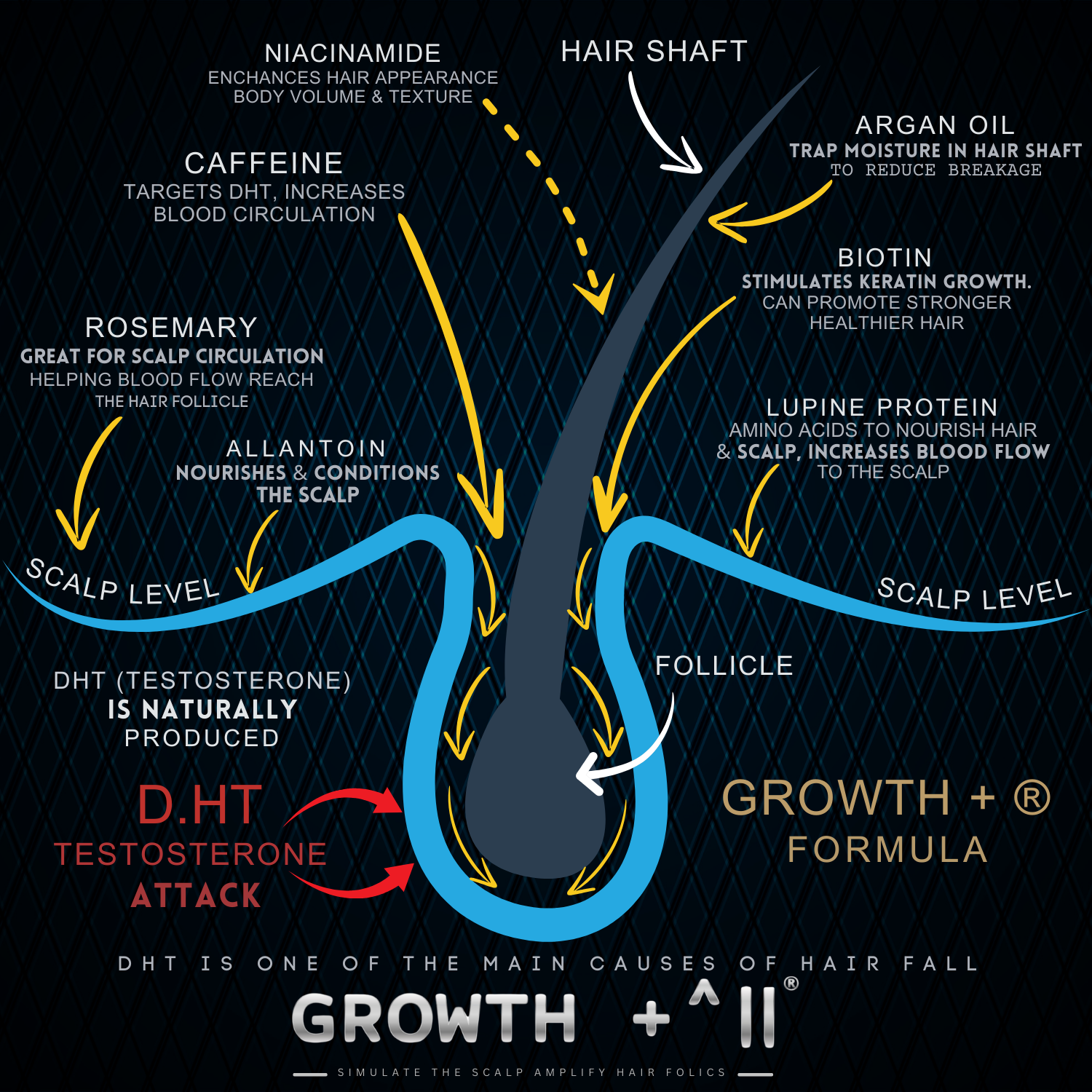 Shampoo & Serum – Growth Package